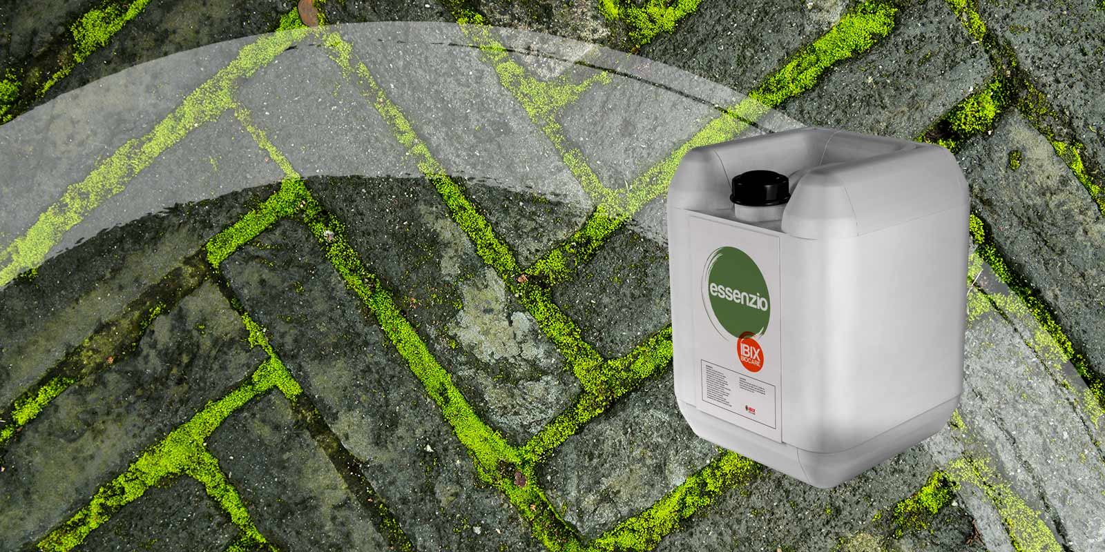 Essenzio is a Eco-friendly and Natural Moss Killer